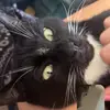 kailee.sanchez0 - @kailee.sanchez0 - TikTok