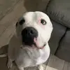 Kaileesanchez - @kaileesanchez - TikTok