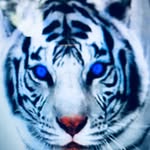 Kailee Smith - @kailee.smith.554 - Instagram