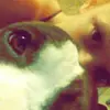 kaylie.warren - @kaylie.warren - TikTok