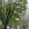 kaily_beivens - @kaily_beivens - TikTok