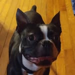 Kailey Campbell - @kailey.campbell.148 - Instagram