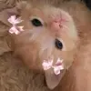 Kaylie Campos - @kaylie.campos - TikTok