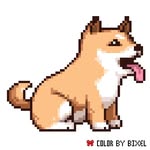 Kailey Freeman - @spoopedpupper - Instagram