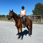 Kaley Fuller - @kaleyfuller.equestrian - Instagram