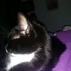 user2125594506585 - @kailey.fuller778 - TikTok