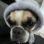 Kailey Gill - @kaig.117 - Instagram