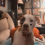 Kailey Nicole Grant - @beachbaby_53 - Instagram