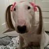 kaileygrant766 - @kaileygrant766 - TikTok