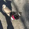 kaileygreen - @_kailey_green_ - TikTok