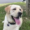 kaileyholbrook146 - @kaileyholbrook146 - TikTok