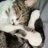 Kailey Marie - @kaileymarieart - TikTok