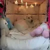 user47568118180217 - @kaileymccartywxhqud - TikTok