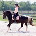 Kailey Mitchell - Facebook