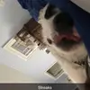 Streaks - @.kailey_ryan.1 - TikTok