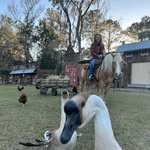 Kailey Thompson - @iceicekailey18 - Instagram
