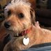 Kailey Thompson - Facebook