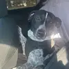 kaileyyoung00 - @kaileyyoung00 - TikTok