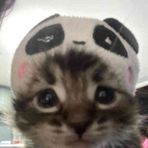 Kain Lee - Facebook