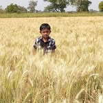 Kaisar Beg - @kaiserbaig42275 - Instagram