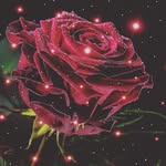 kaiser baig - @qaiserbaigmirza2 - Instagram
