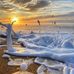 Gayle Prentice - Facebook