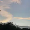 Kaite Evans - @kaite.evans4 - TikTok