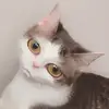 Kaitlin Conner - @kaybaylovespotatos - TikTok