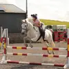 Caitlin Dodd - @caitlintdodd - TikTok