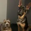 kaitlindunn330 - @kaitsdunn - TikTok