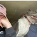 Caitlin Erickson - Facebook