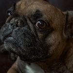 kaitlin everett - @kaitlin02650gwbz - Instagram