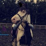 kaitlin harrison - @_my_crazy_poniez_ - Instagram