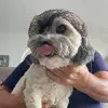Kaitlin - @kaitlin.heller - TikTok