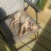 Katelin Mcnally - Facebook