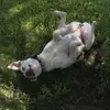 Kaitlyn Mize - @kaitlyn.mize - TikTok