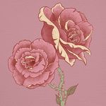 Kaitlin O'Donnell - @ktoillustration - Instagram