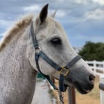 Kaitlin Reece - @lighting_thief1 - Instagram