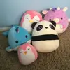 kaitlinritchie8 - @atheisticsforyou - TikTok