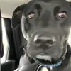 Katie  - @katiexxsch - TikTok