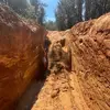 🤙🏽 - @kaitlin_rose_shields_06 - TikTok