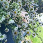 Kaitlin Stone - @issa_photographypage_ - Instagram