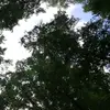 Someone - @kaitlin.uwu - TikTok