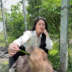 Kaitlin Yu - @kaitlin_yu0518 - Instagram