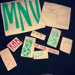 Caitlyn Ackerman - @vinyl.stickers.caitlyn - Instagram