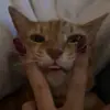 Kaitlyn Ayers - @kaitlyn.ayers - TikTok