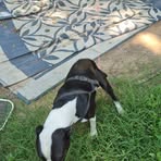 Kaitlyn Benbow - Facebook