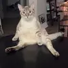 Kaitlyn - @kaitlyncrowley - TikTok