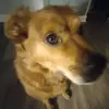 k.kaitlyndunn - @k.kaitlyndunn - TikTok