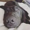 Kaitlynn Ebert - @kaitlynnebert - TikTok
